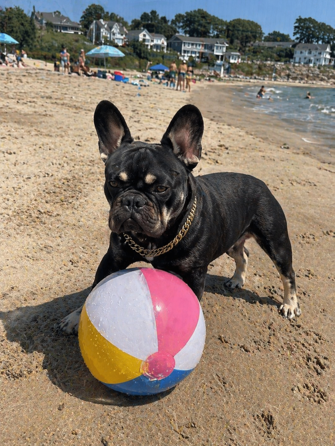 Kodak at the Beach