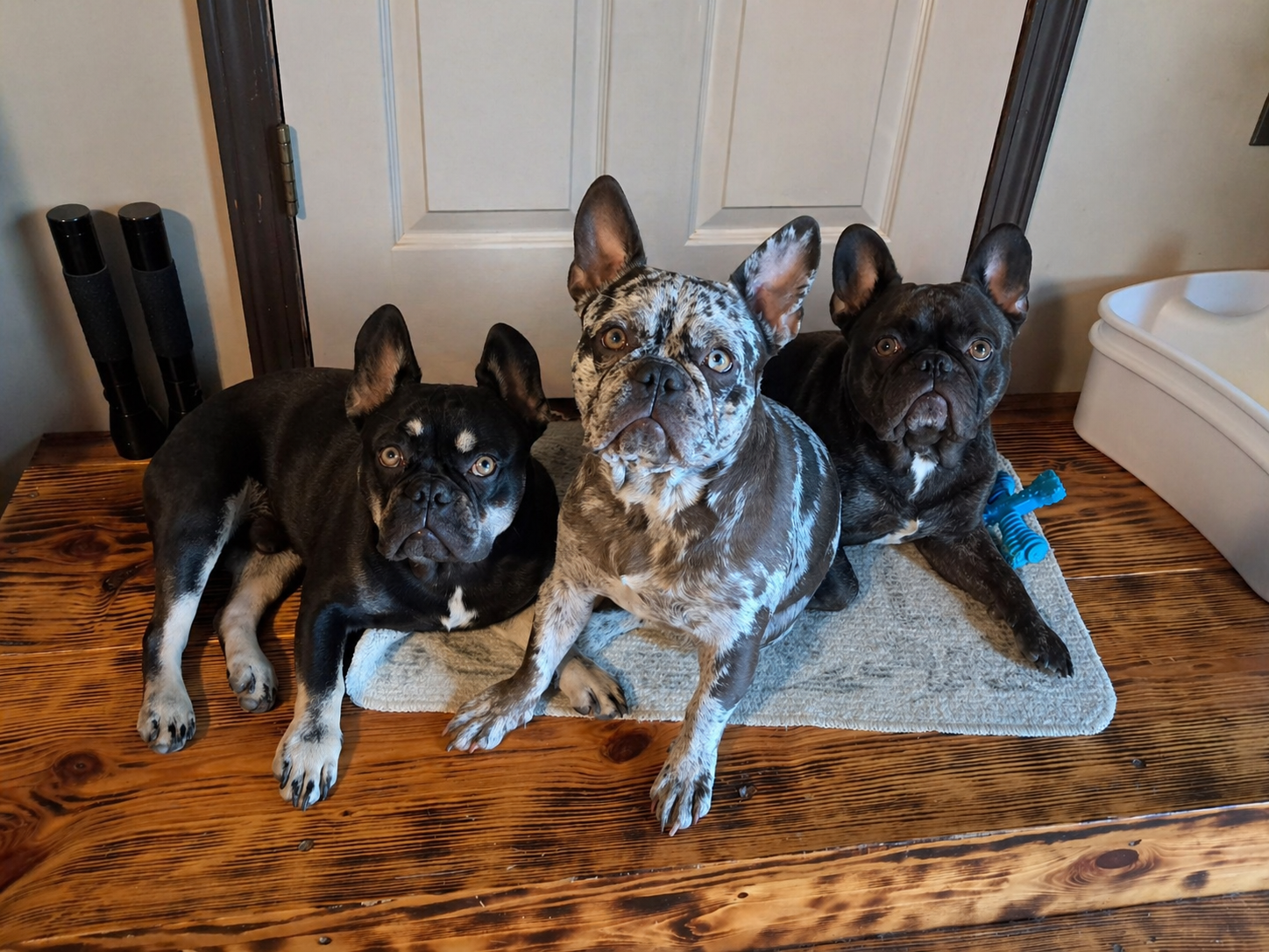 Kodak with family