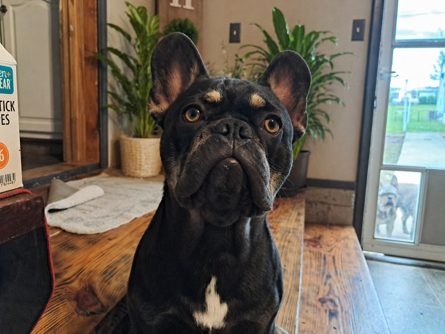 Kodak front profile